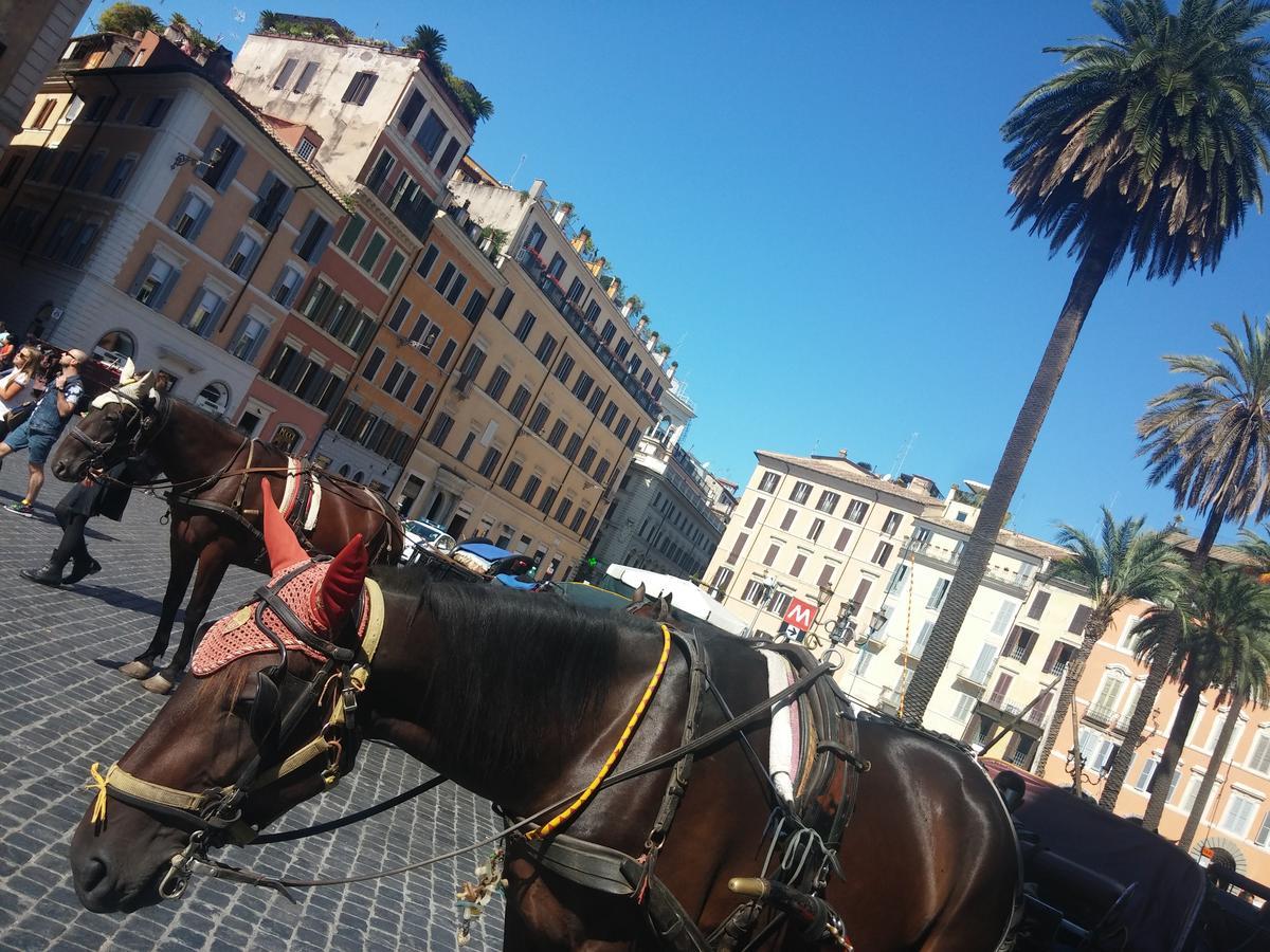 Casa de hóspedes Piazza Di Spagna De Charme Roma